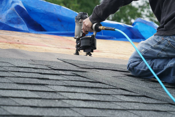 Roof Gutter Cleaning in Daphne, AL